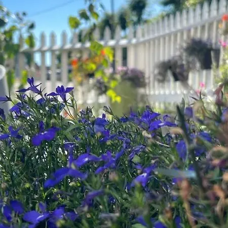 Huset I Hagen Apartment